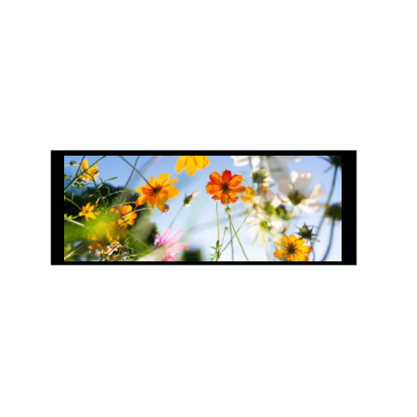 6,86 ίντσες 480 × 1280 μονάδα IPS TFT